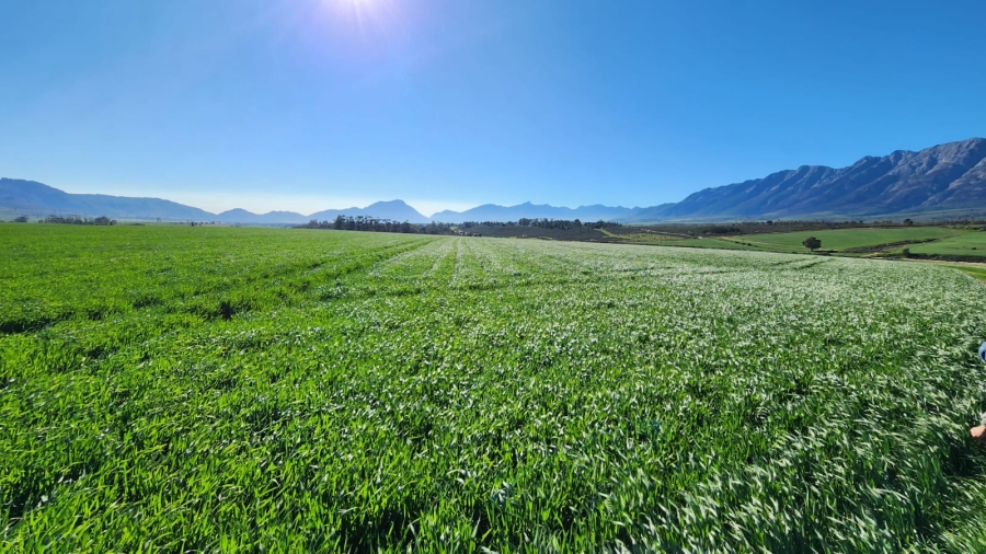 Commercial Property for Sale in Wolseley Western Cape